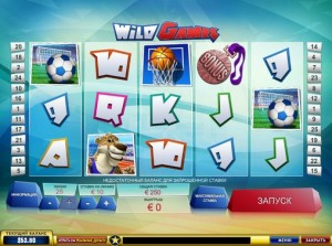 играть в автомат Wild Games