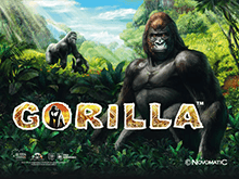 играть в автомат Gorilla