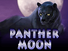 играть в Panter Moon