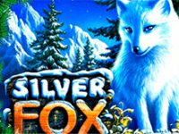 Silver Fox