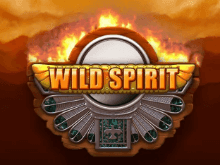 играть в автормат Wild Spirit